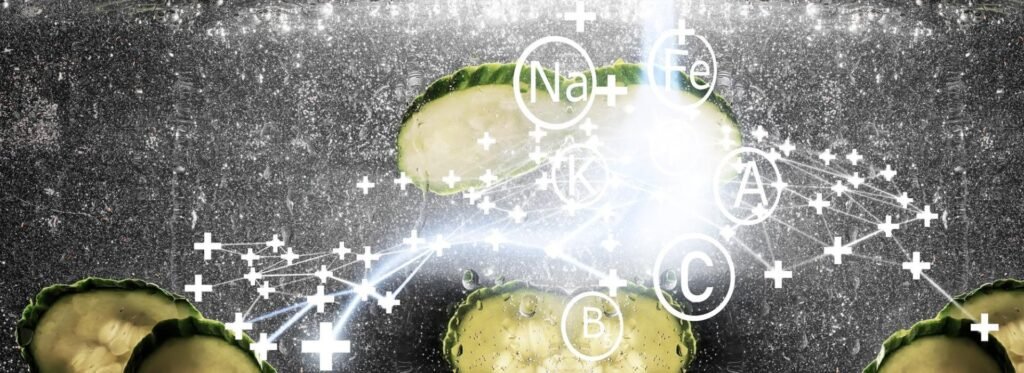 featured image 1759420815