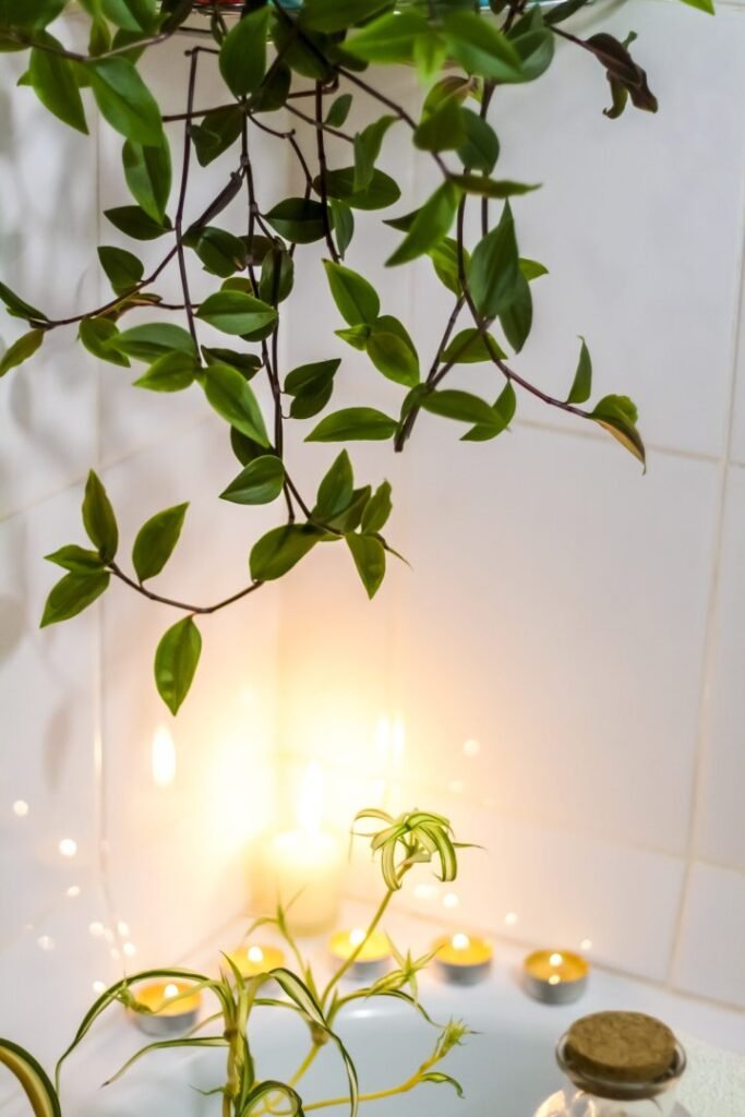 featured image 1762275660 scaled