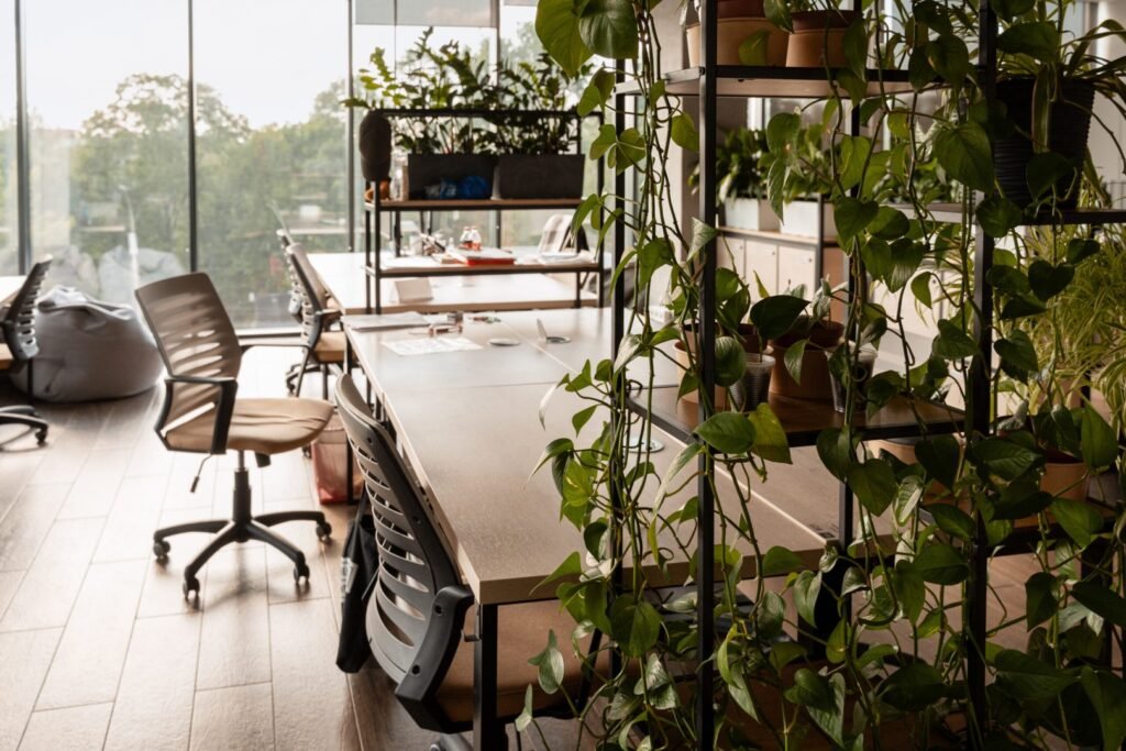 featured image 1764626454 scaled