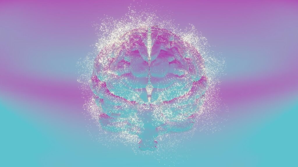 featured image 1769464885