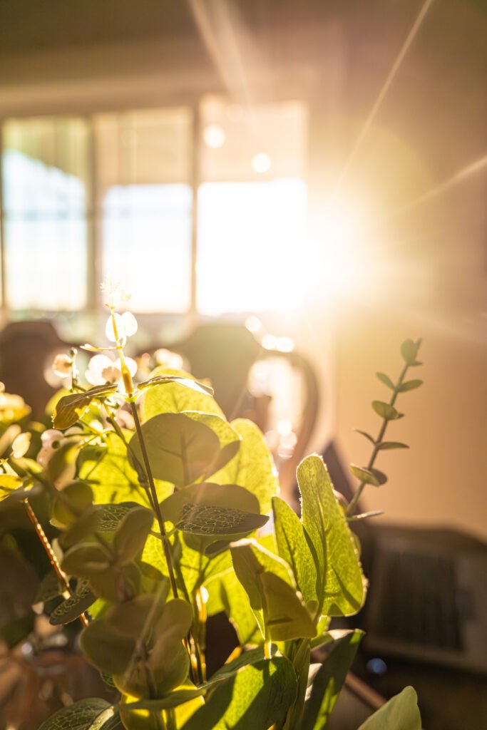 featured image 1769637636