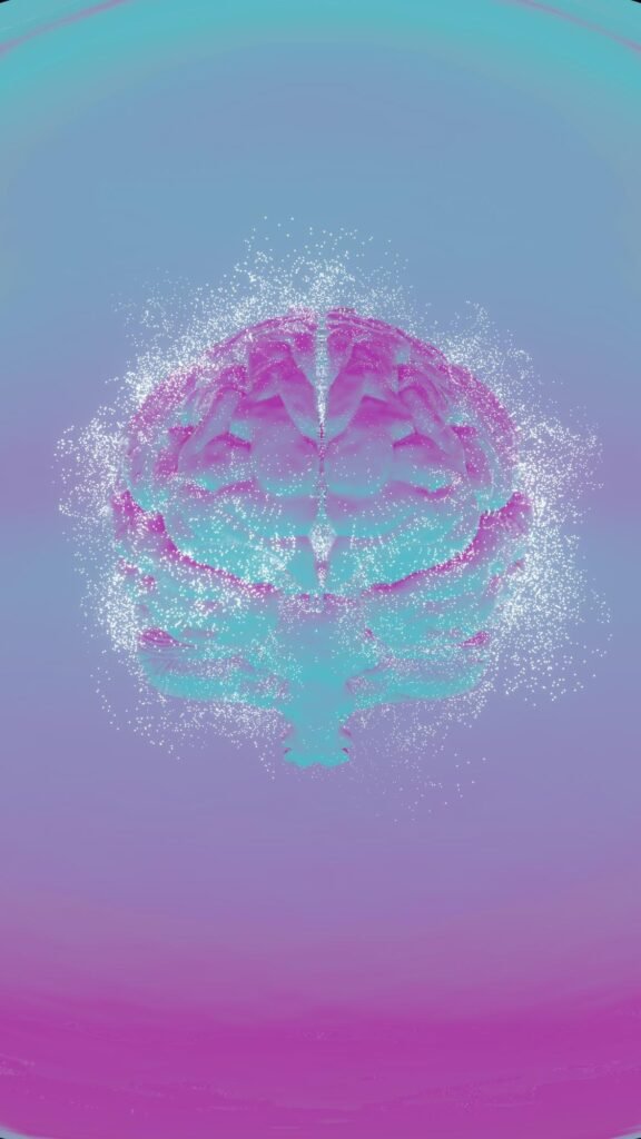 featured image 1771866056